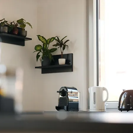 D'heim - D'alsace Equipe וינצנהיים